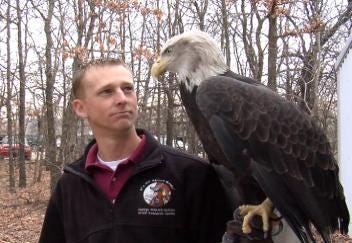 Bald Eagle Nest Camera