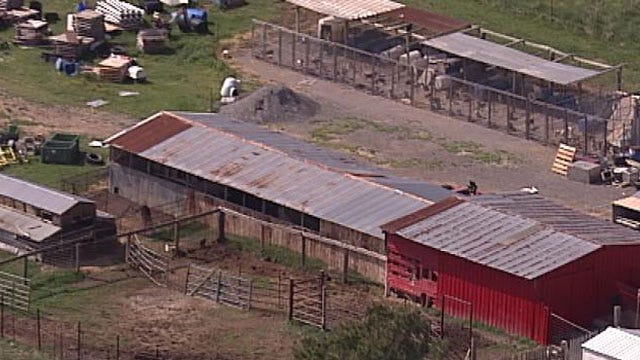 Oklahoma Pet Breeders' Taxes Questioned