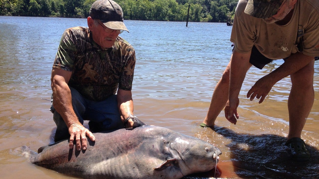 Peggs Couple Lands Record-Setting Catfish