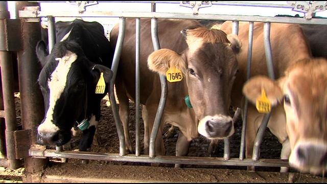 Braum's Dairy Farms