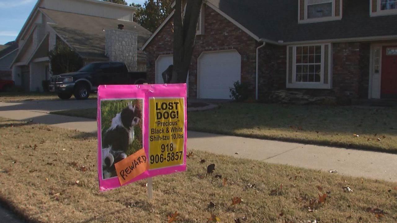 Broken Arrow Pet Owners Victimized By Thieves