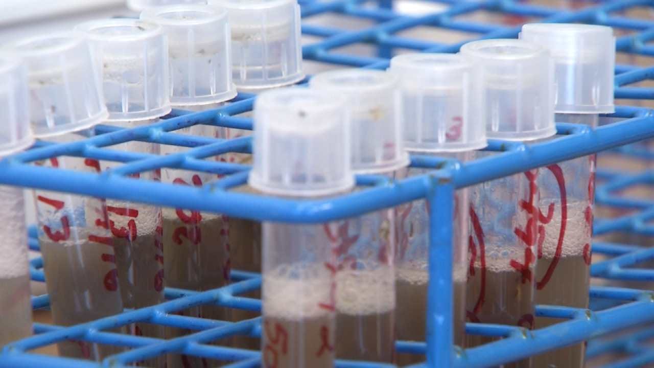 Oklahoma Health Departments Prepare For Zika Research, Concerns