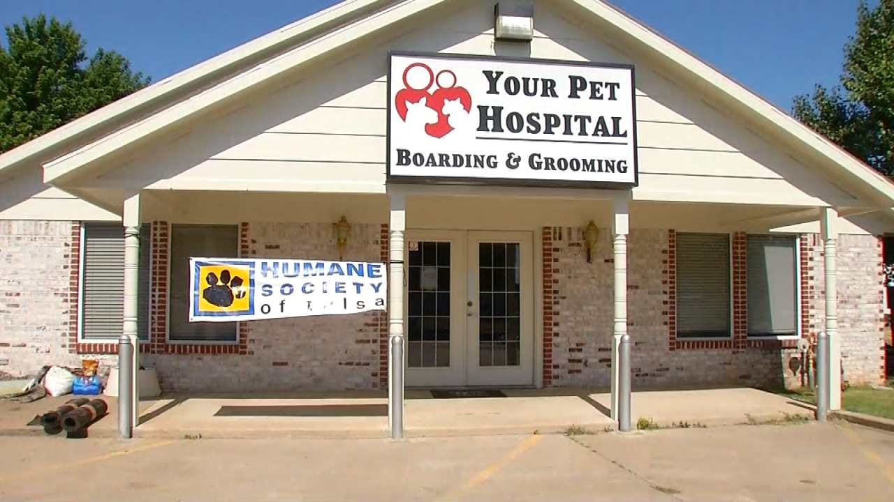 Humane Society Of Tulsa Needs Help After Two Major Dog Rescues