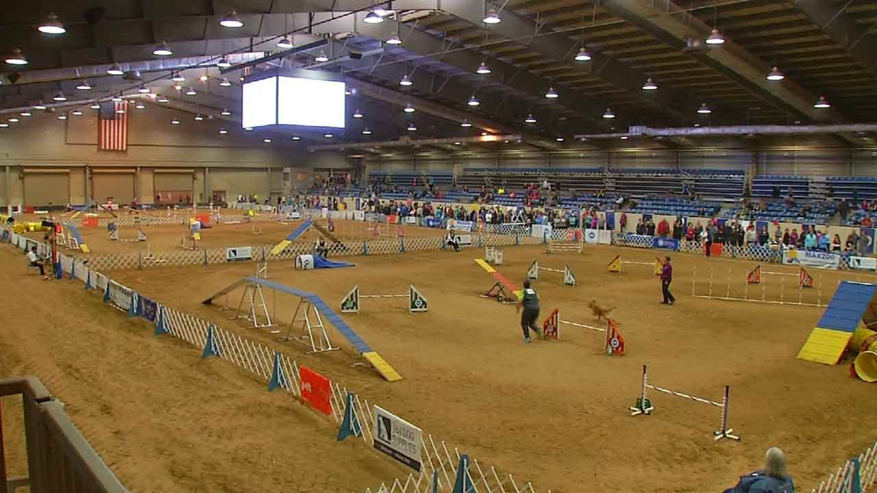 Top Dogs In Tulsa For National Agility Championships