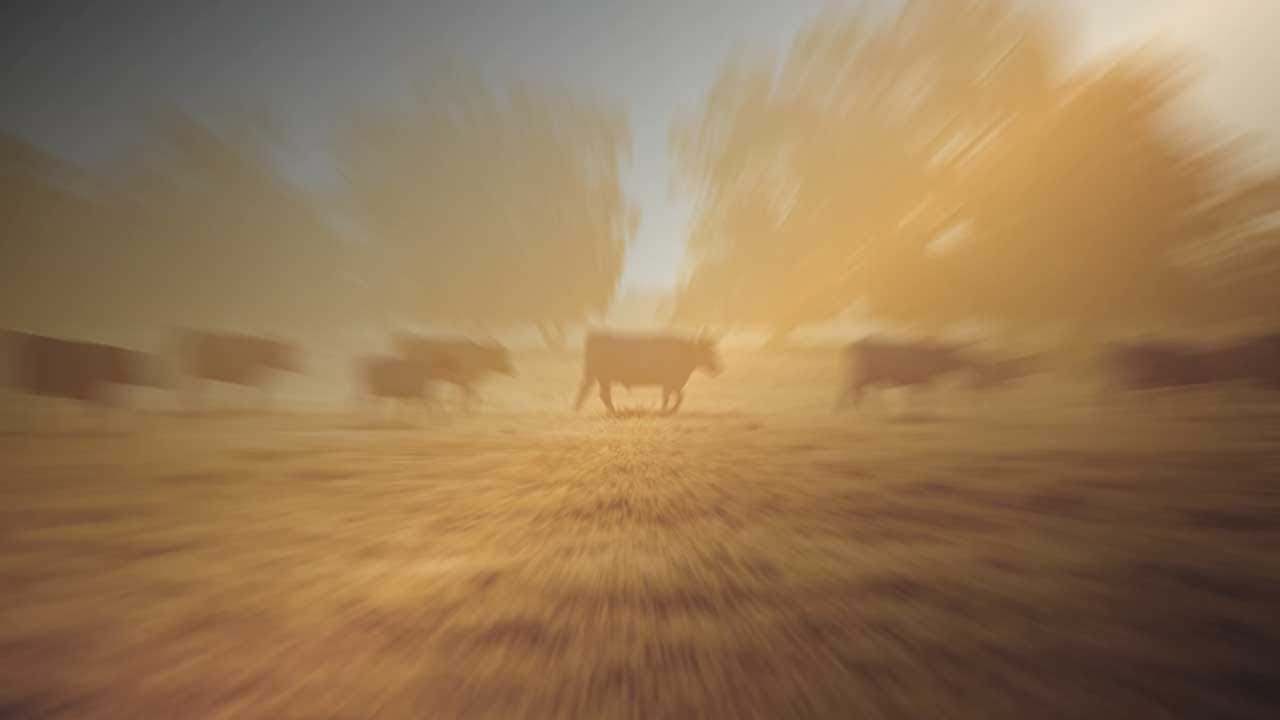 Exclusive News On 6 Poll: State Question 777 'Right To Farm'