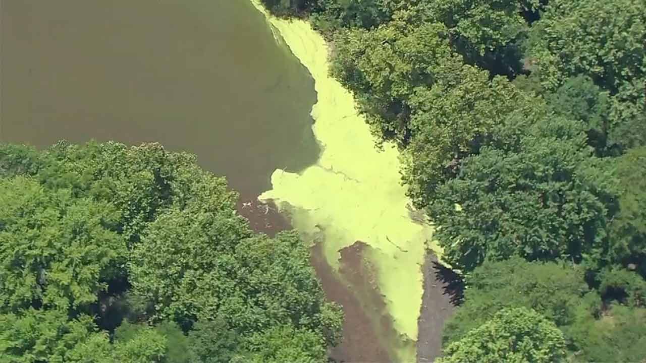 Blue Green Algae Levels Decreasing At Grand Lake