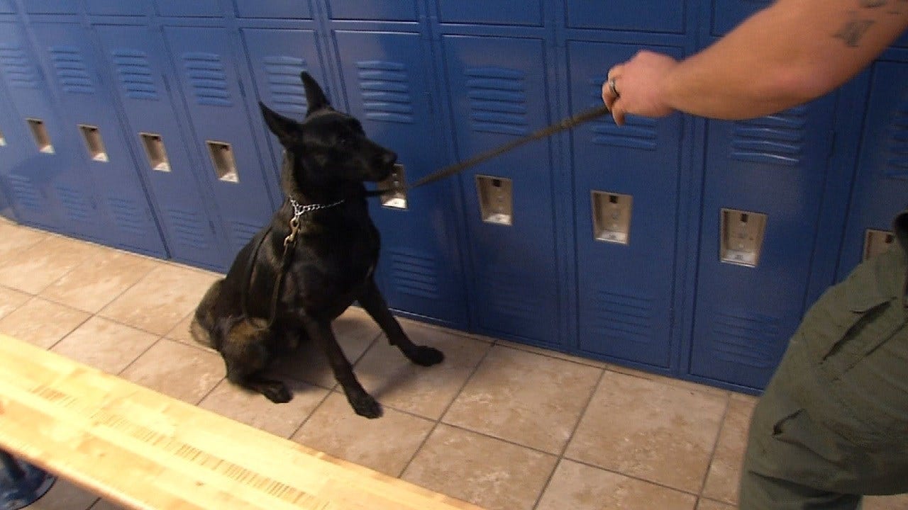 Oklahoma K9 Teams Get Special Narcotics, Explosives Training