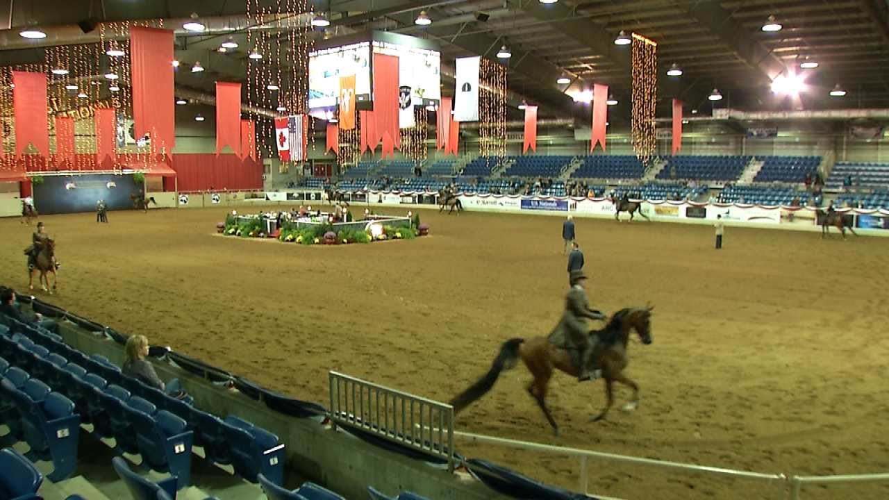 Arabian Horse Show Kicks Off In Tulsa arabian-horse-show-kicks-off-in-tulsa