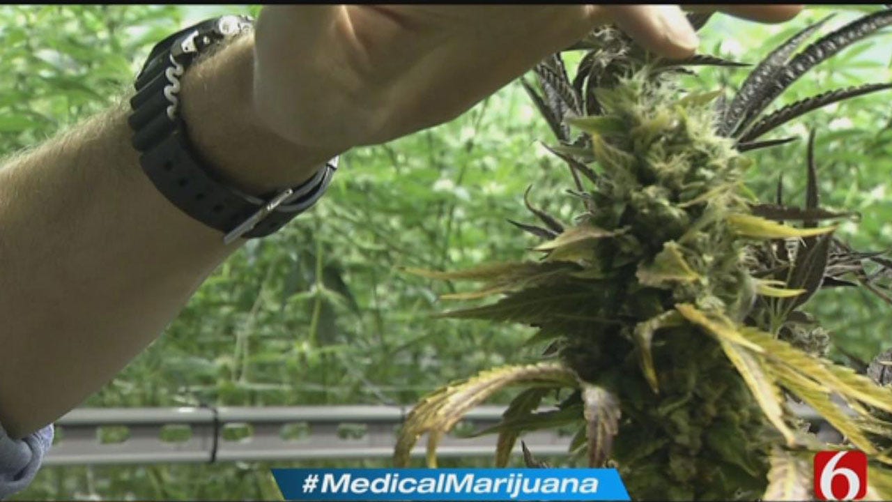 Medical Marijuana Could Bring Great Benefits, Challenges For Oklahoma