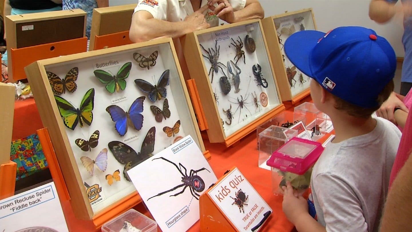 Traveling Bug Zoo Returns To Broken Arrow