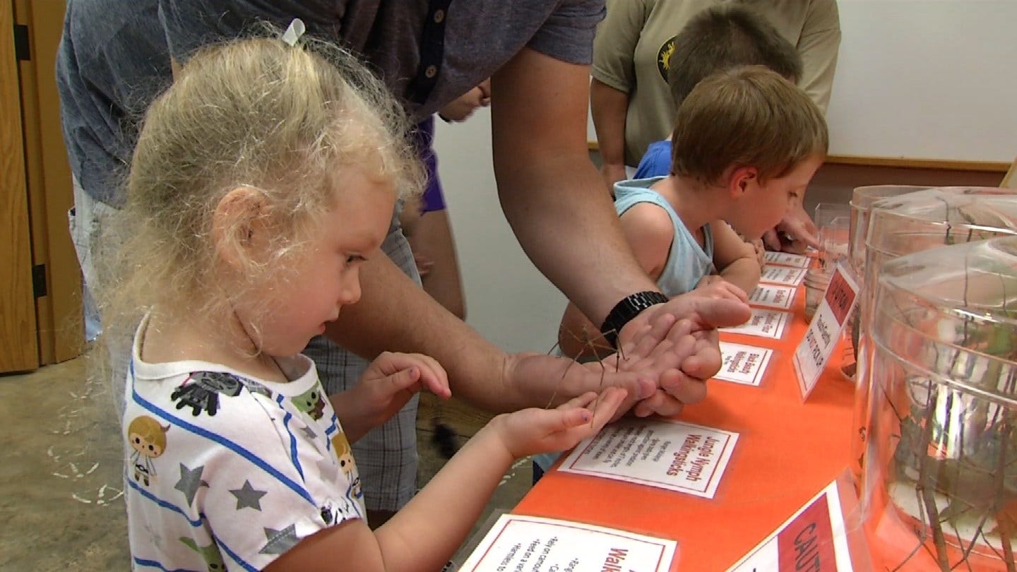 Traveling Bug Zoo Returns To Broken Arrow