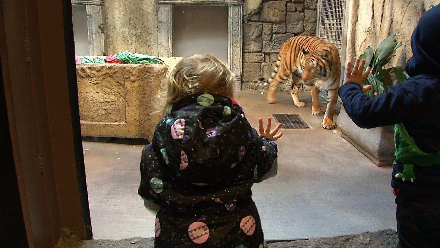 Guests Take Advantage Of National Visit The Zoo Day