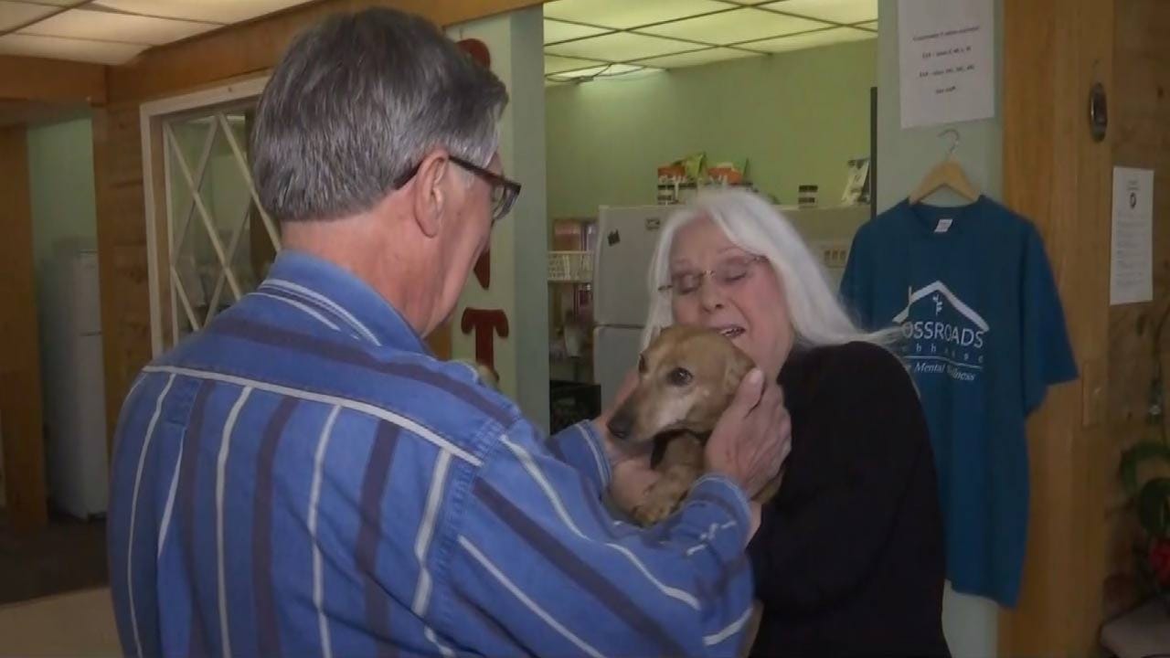 Dog Inside Stolen SUV Reunited With Coweta Owners