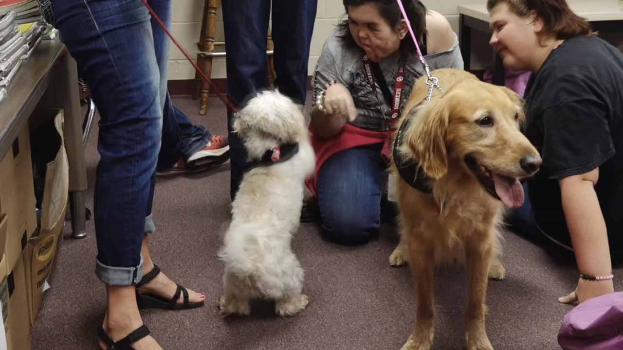 BA Teacher Starts Therapy Dog Program For Students