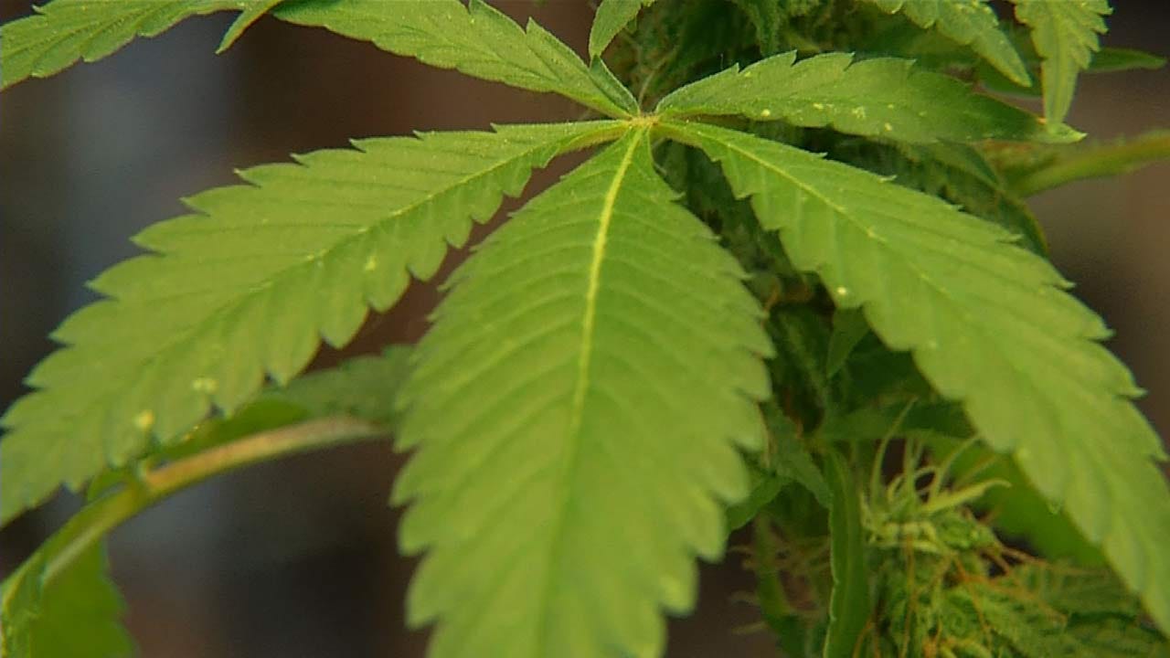 Oklahoma Group Talks Medical Marijuana Legality With Business Owners