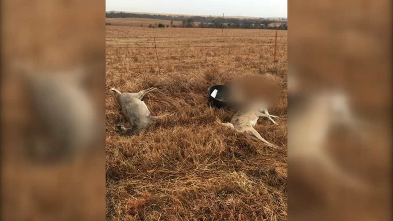 Suspects Sought In Illegal Animal Dumping Case In Osage Co.