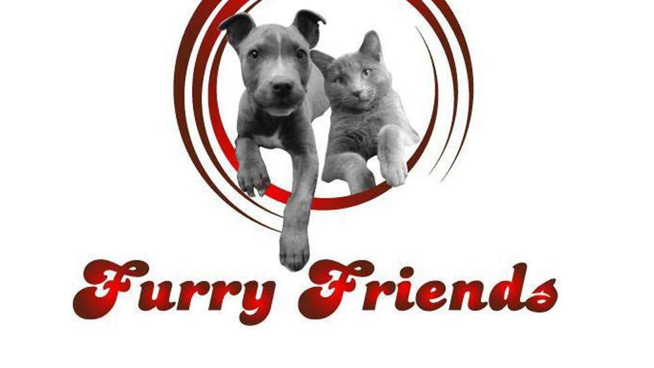 Sapulpa Animal Shelter May Have To Euthanize Cats To Avoid Disease