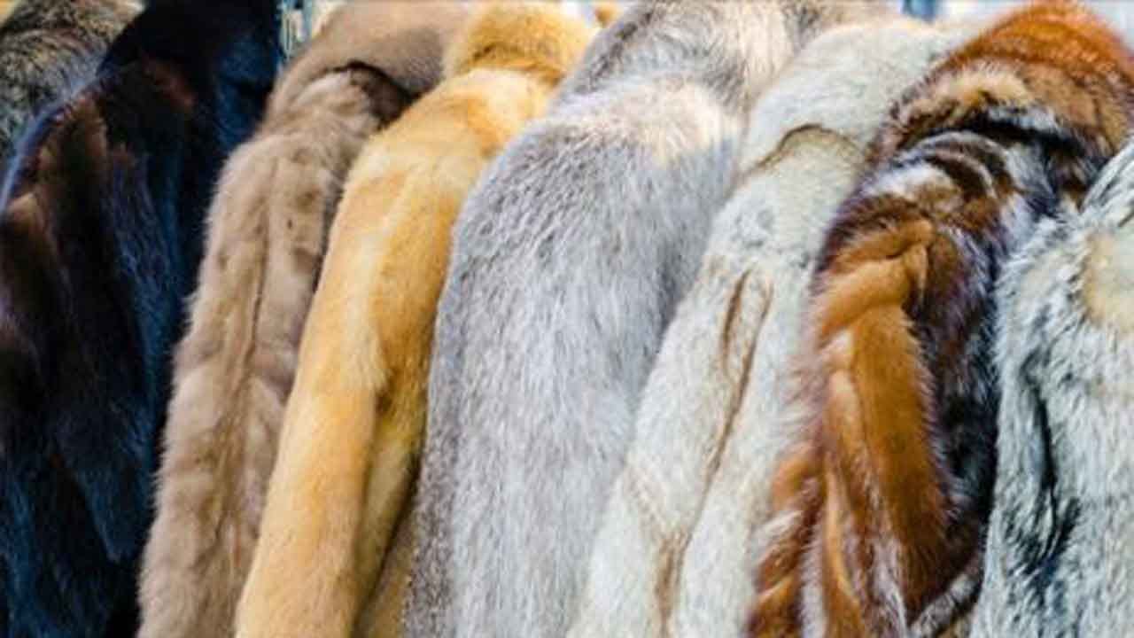 Macy's Announces It Will Stop Selling Fur By End Of 2020 FiscalYear
