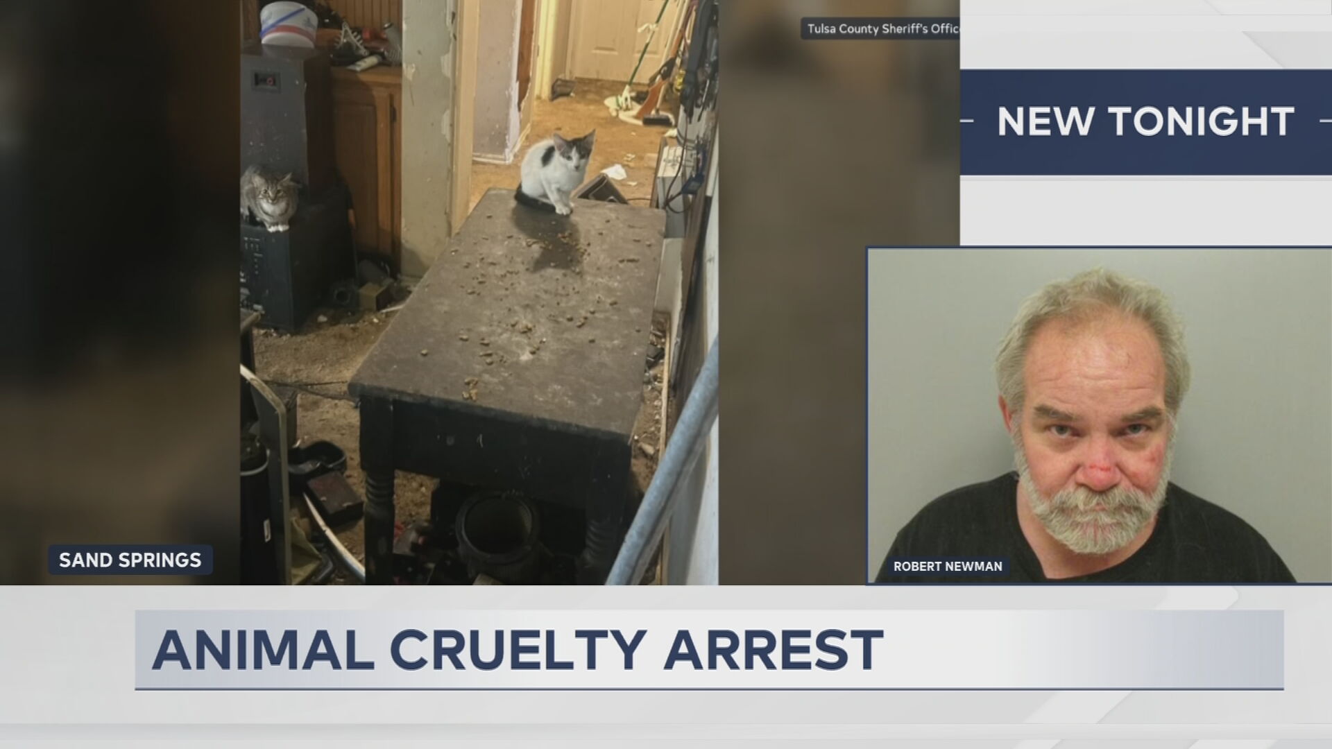 Robert Newman arrest
