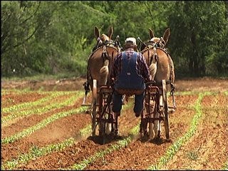 Farmer seeks fuel efficient plowing method