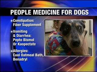 Your dog may benefit from your medicine
