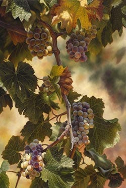 Northpark Mall art, wine festival