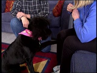 Protecting your pet's health