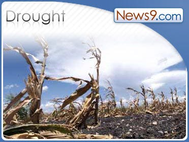 Calif. drought forces cattle ranchers to downsize