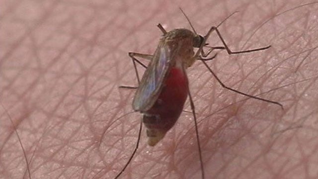 West Nile Virus Kills 3 Oklahomans, Governor Urges People To Take Precautions