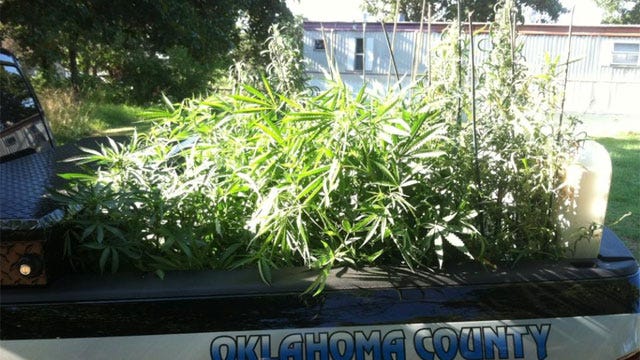 Oklahoma County Sheriff's Office Shuts Down Marijuana Operation In Choctaw
