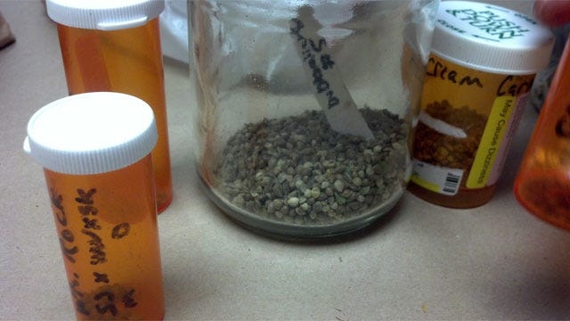 Oklahoma County Sheriff's Office Shuts Down Marijuana Operation In Choctaw