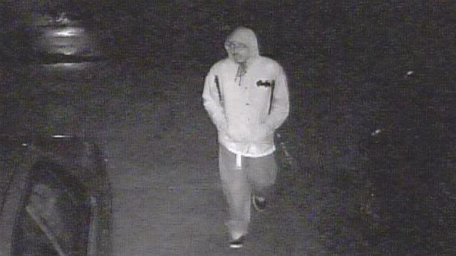 Police Hope Surveillance Footage Helps Catch Car Burglars