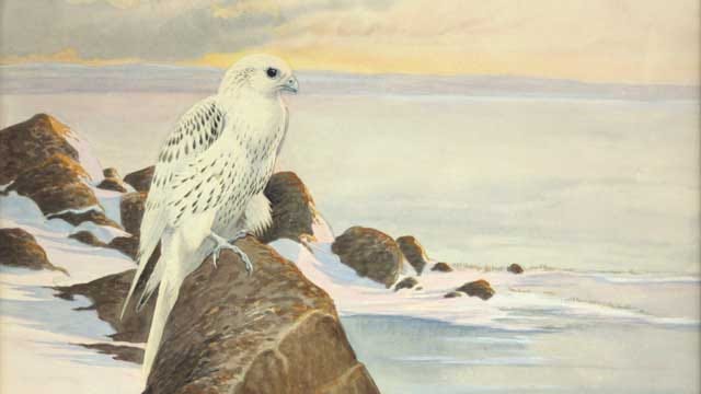 Sam Noble Museum Invites Families For Watercolor Workshop