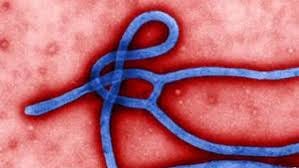 Texas Health Care Worker Tests Positive For Ebola