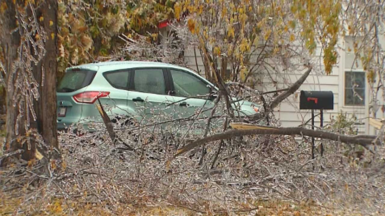 Tree Limb Removal Could Take Months