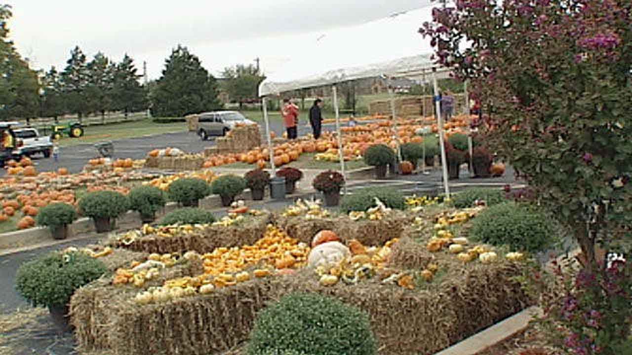 9 Things To Do This Weekend Around The Metro