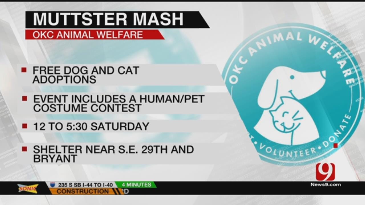 OKC Animal Shelter Holding Free Adoption Event Saturday