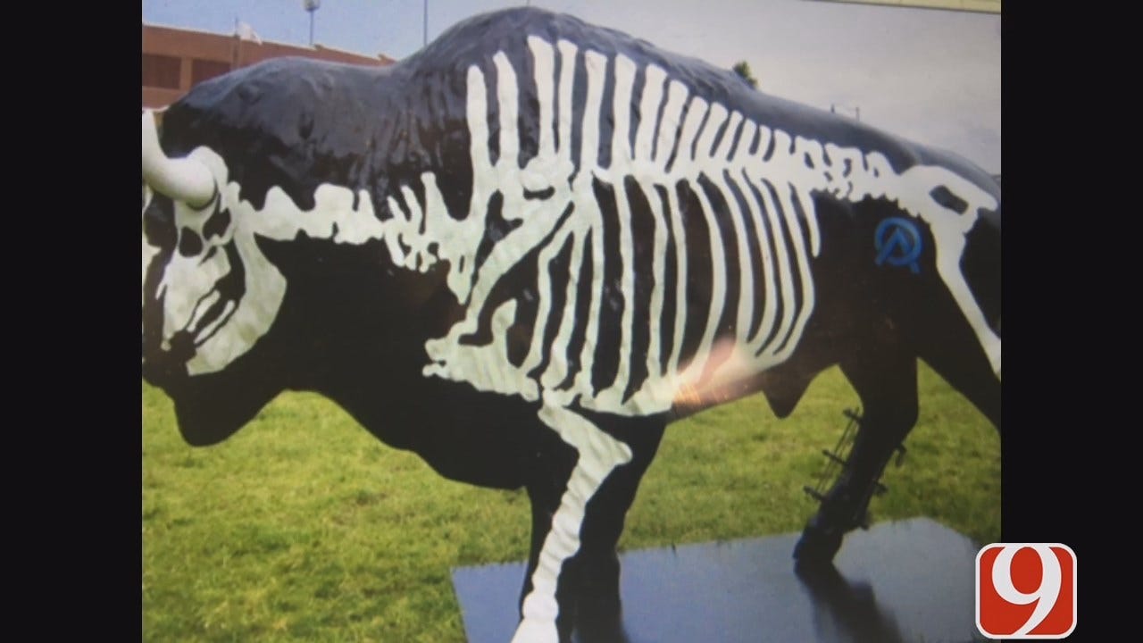Police On The Lookout For "Buffalo Bandit"