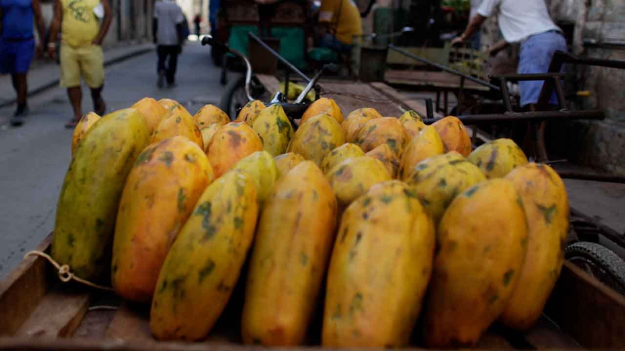 Salmonella Outbreak Linked To Yellow Maradol Papayas In Oklahoma