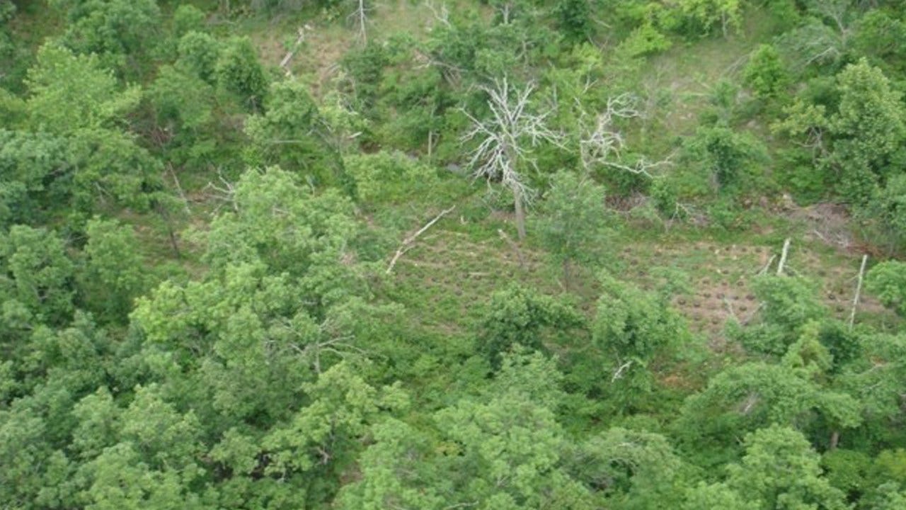 Agents Save Overdosed Man After Drug Bust In SE OK