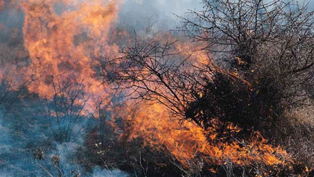 Wildfire in Woods County Contained