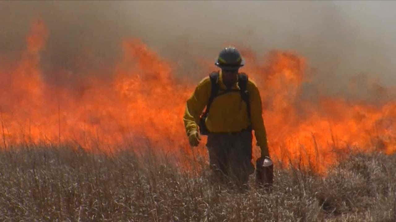 Firefighters Intentionally Burn Fields To Head Off Rhea Fire