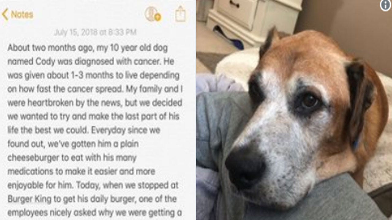Terminally Ill Dog Gets Free Cheeseburgers For Life At Burger King