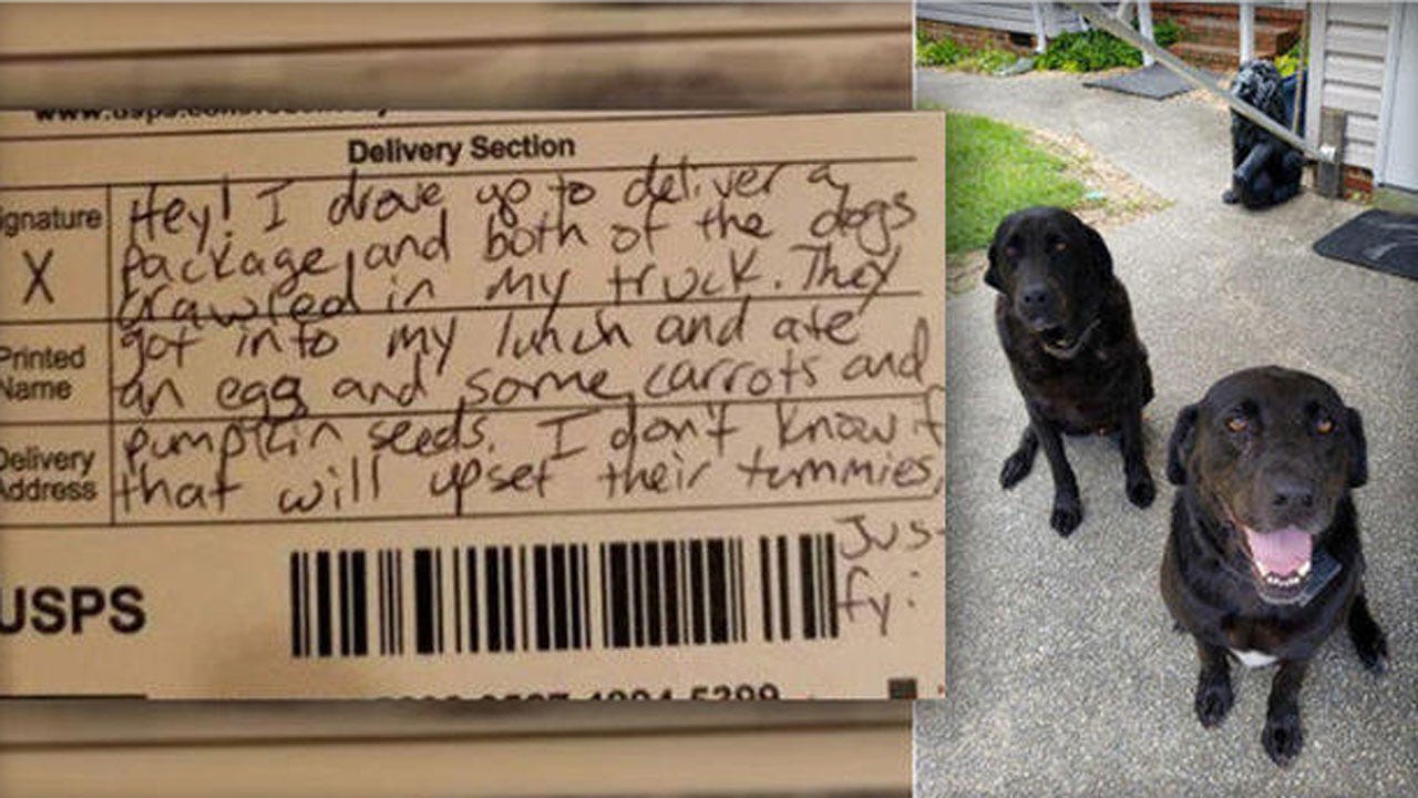 Dogs Steal Mail Carrier's Lunch, Then Their Apology Note Goes Viral