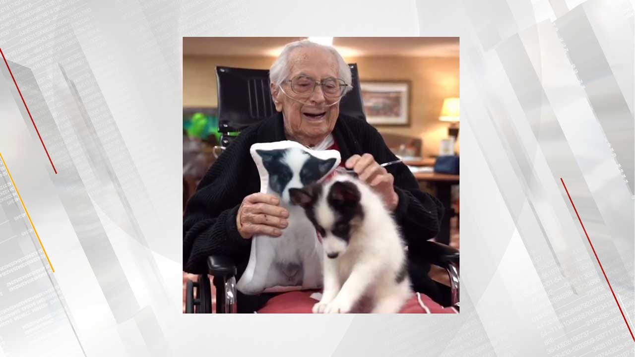 Puppies Bring Joy To Alzheimer's, Dementia Patients