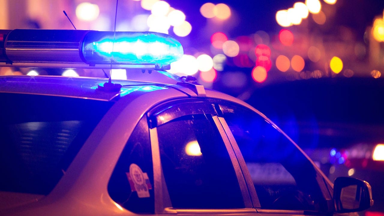 Officer Attempts To Shoot Dog, But Shoots Another Officer In Back