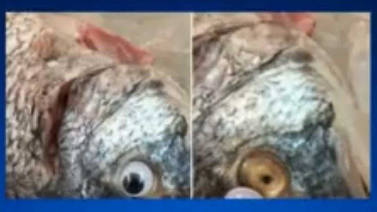 Shop Accused Of Putting Googly Eyes On Fish To Make Them Look Fresher