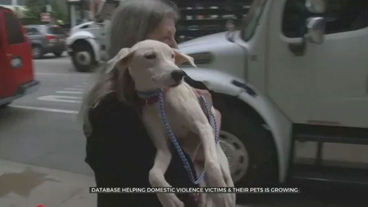 Database Helping Pets Of Domestic Abuse Victims Grows Internationally