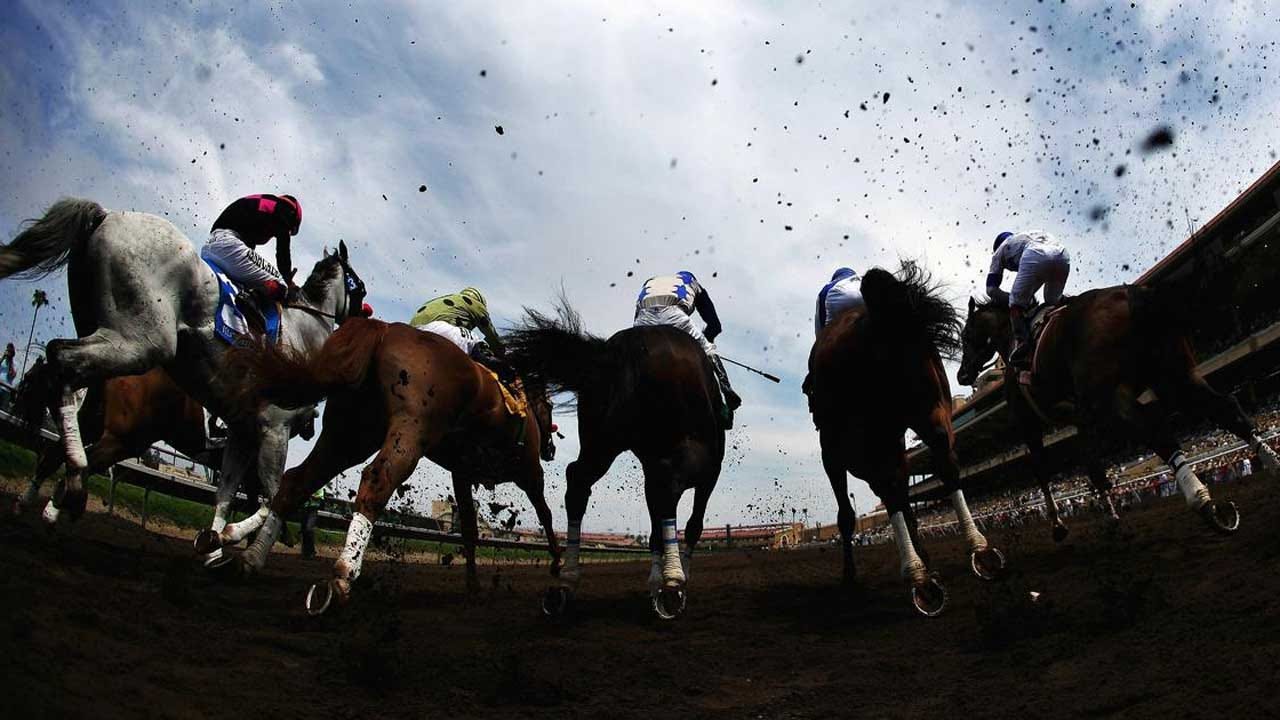 2 Race Horses Euthanized, 1 Left Injured At Famed California Track