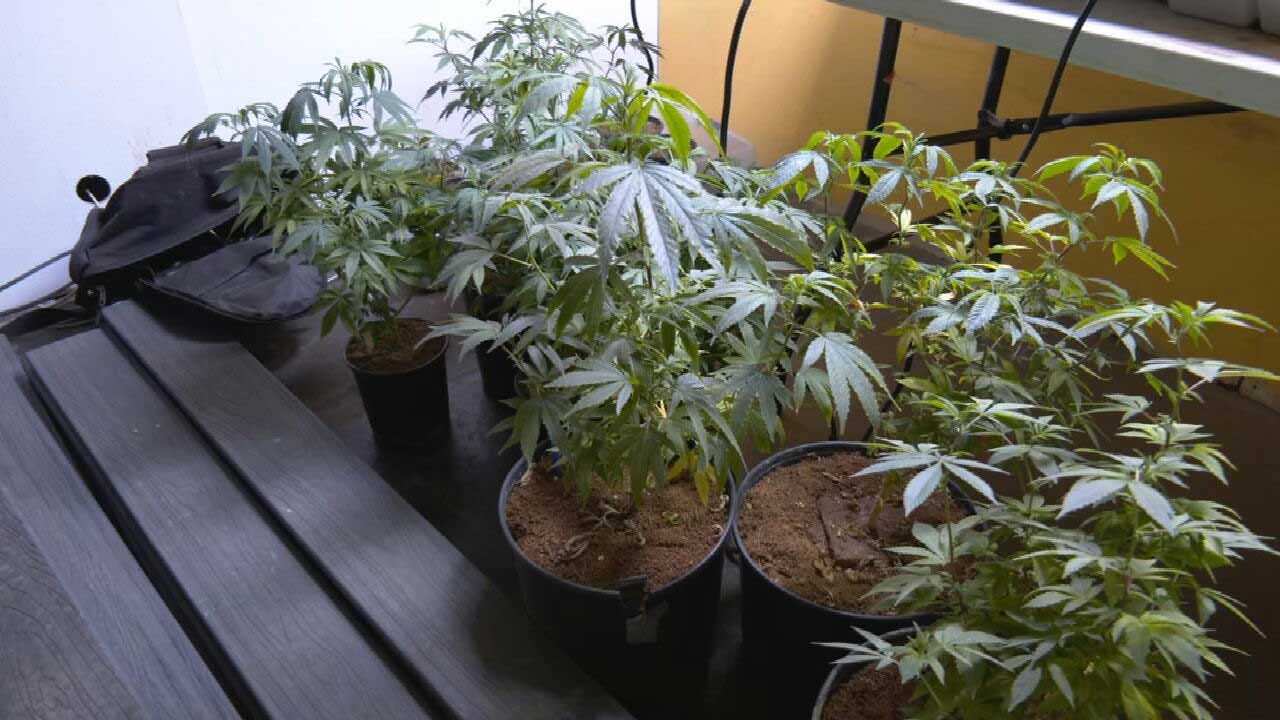 Noble City Council Debates Whether To Allow Medical Marijuana Grow Operations To Open